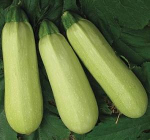 韩城吃瓜视频最新