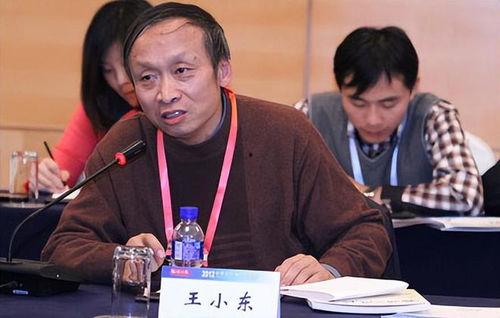 吃瓜摆摊的王小东视频大全,揭秘街头美食背后的故事