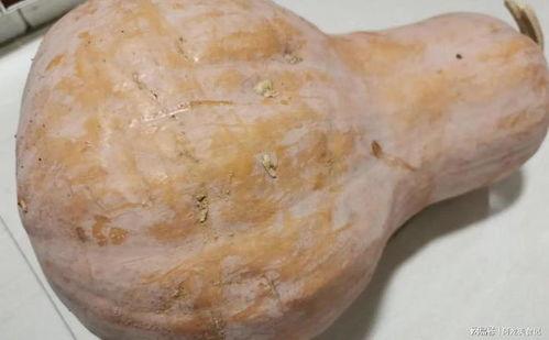 方瓜的种子可以吃吗视频,揭秘可食用之谜