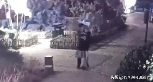 还原河北吃瓜事件视频,真相与误解的交织