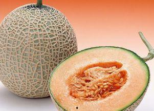 猴王吃哈密瓜视频播放,哈密瓜盛宴视频播放引网友热议