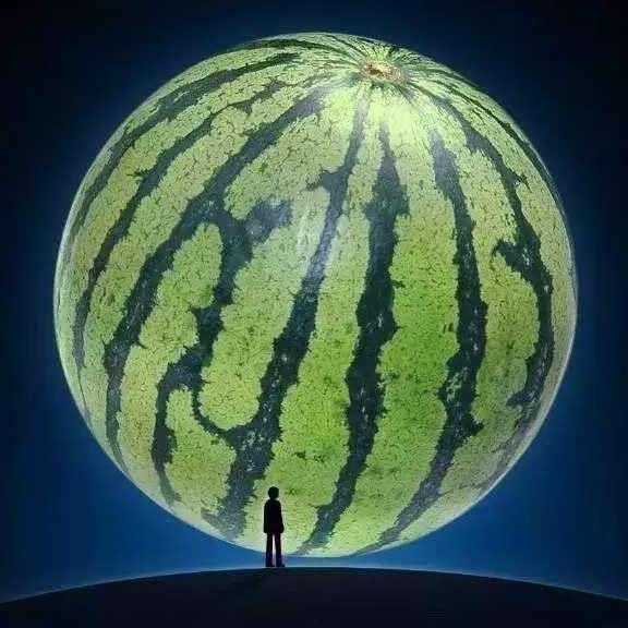 吃瓜动作获取方法视频,轻松解锁夏日清凉新姿势