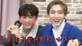 综艺爆笑吃瓜视频大全,笑料横生！综艺爆笑吃瓜视频大盘点