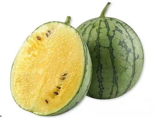 板凳上吃瓜视频,揭秘网络短视频的趣味与魅力