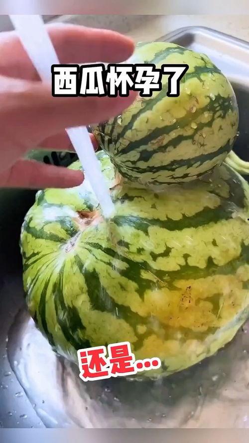上海吃瓜搞笑视频,笑料百出，揭秘魔都生活百态