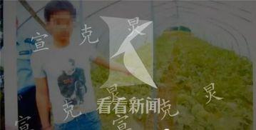 吃瓜群众被刑拘视频真实,刑拘视频引发社会热议